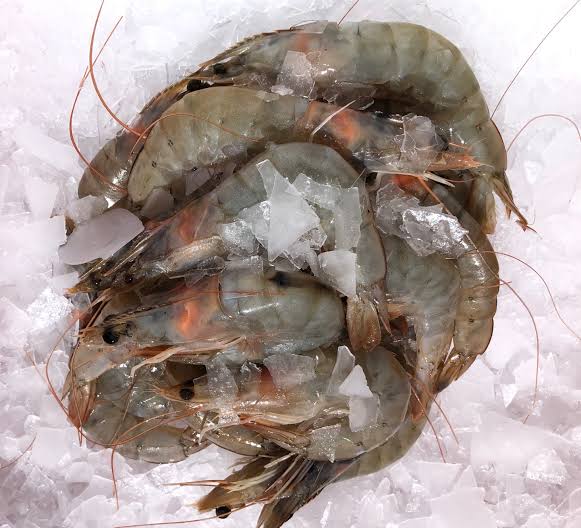 Prawn Fry